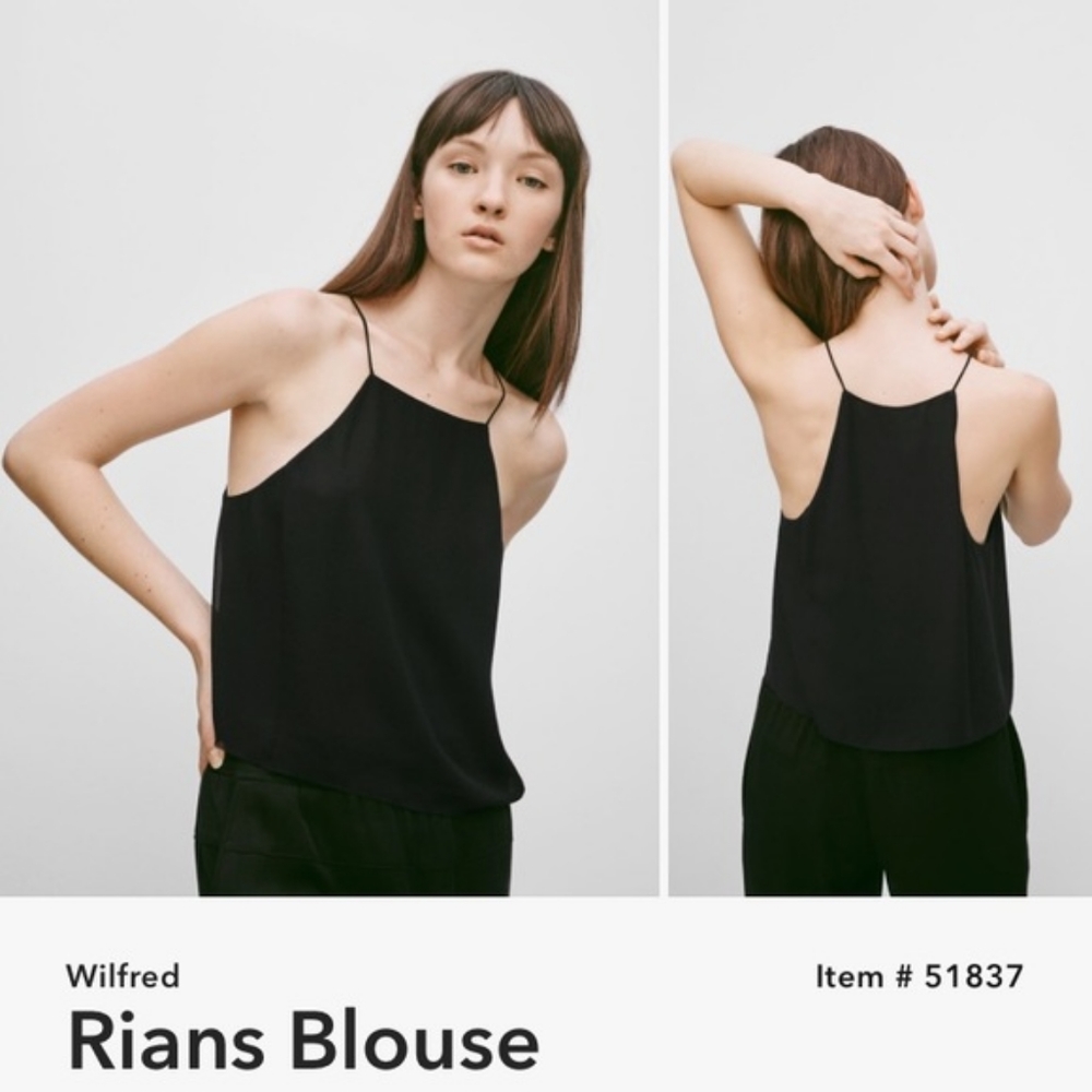 Aritzia Wilfred Rians Blouse